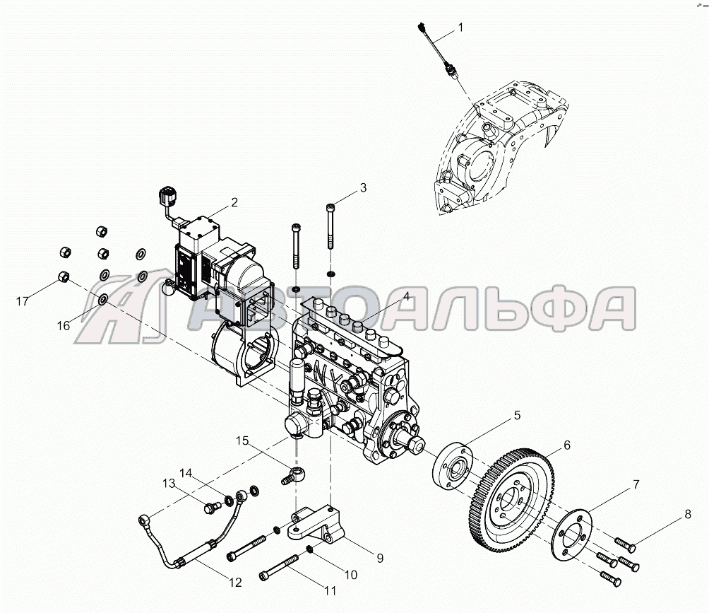 Fuel Injection Pump Assembly Двигатель Weichai 6M11 DHM11D0002